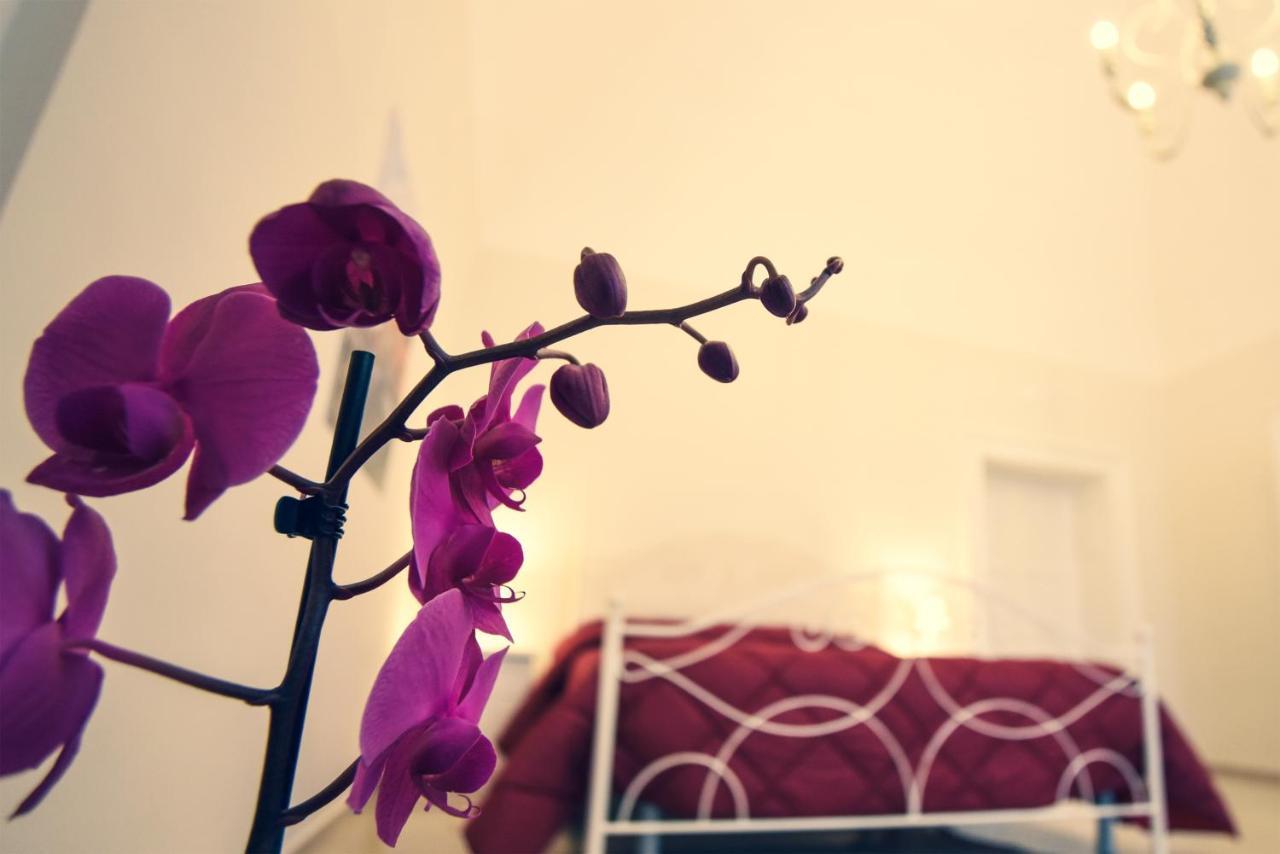 Kapsott B&B Бишелье Экстерьер фото